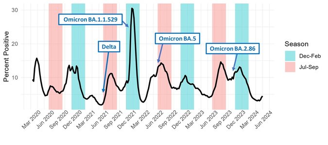 covid pandemic trends