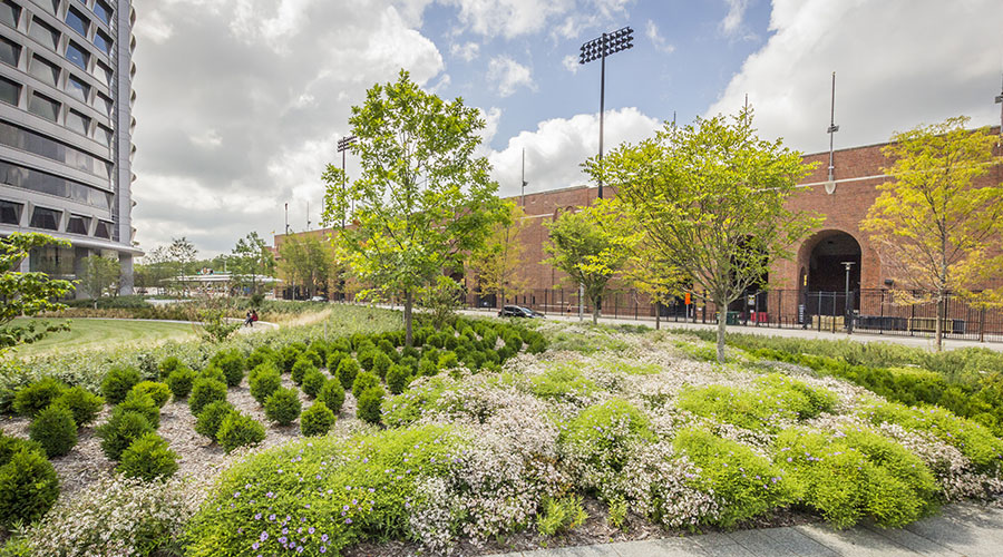 landscape urban health care services