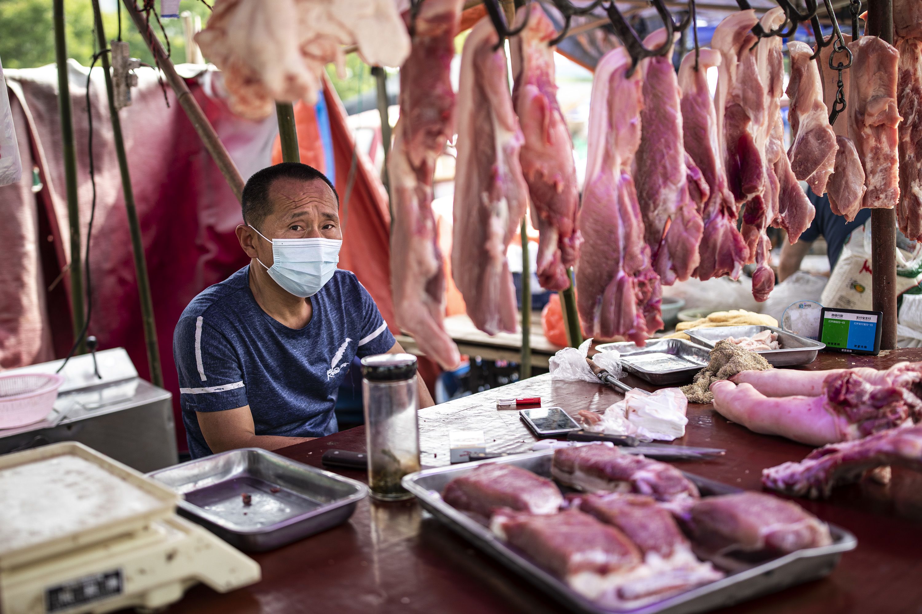 laboratory equipment and wildlife market scenes