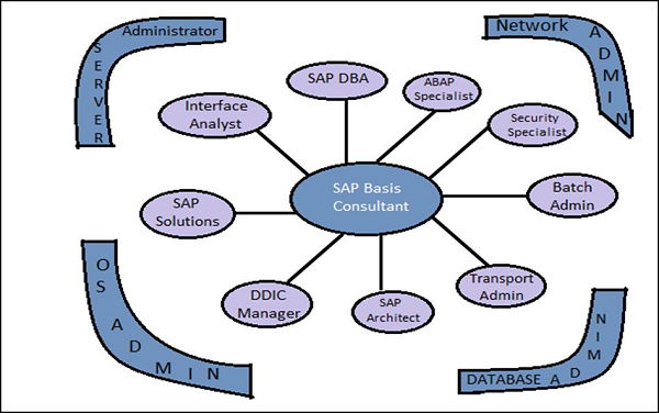 sap basis consultant office