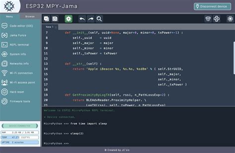 developer working on ide client