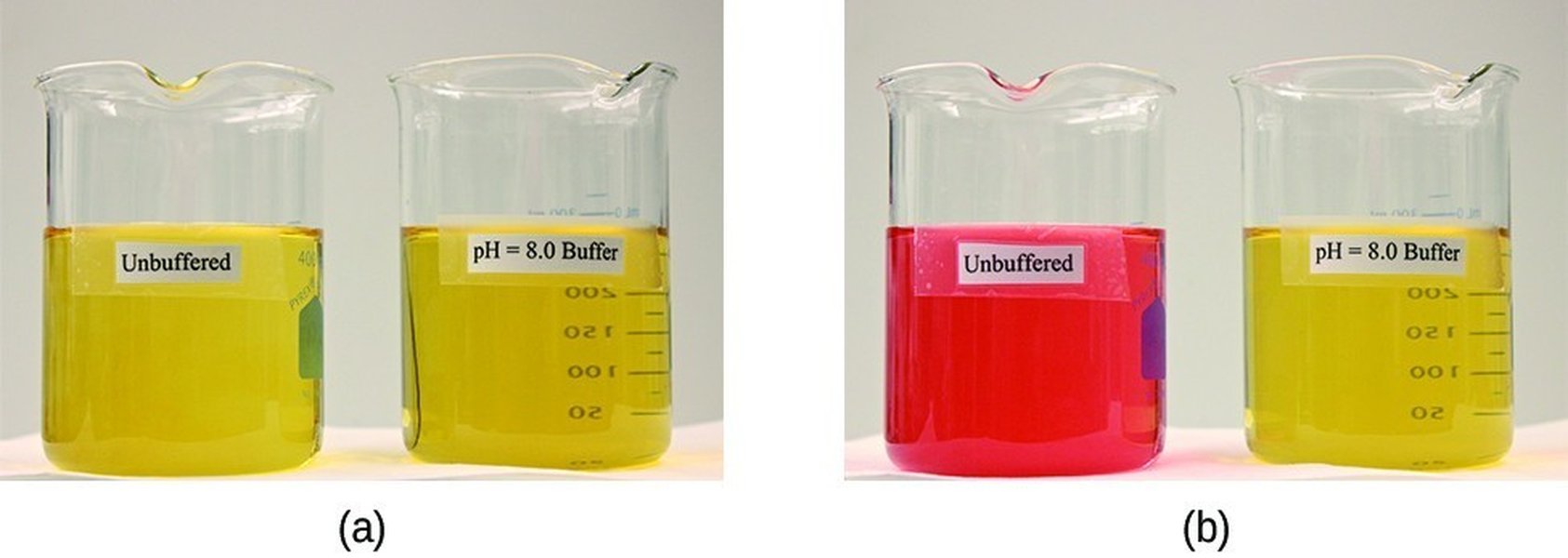 chemistry laboratory buffer solution in beakers