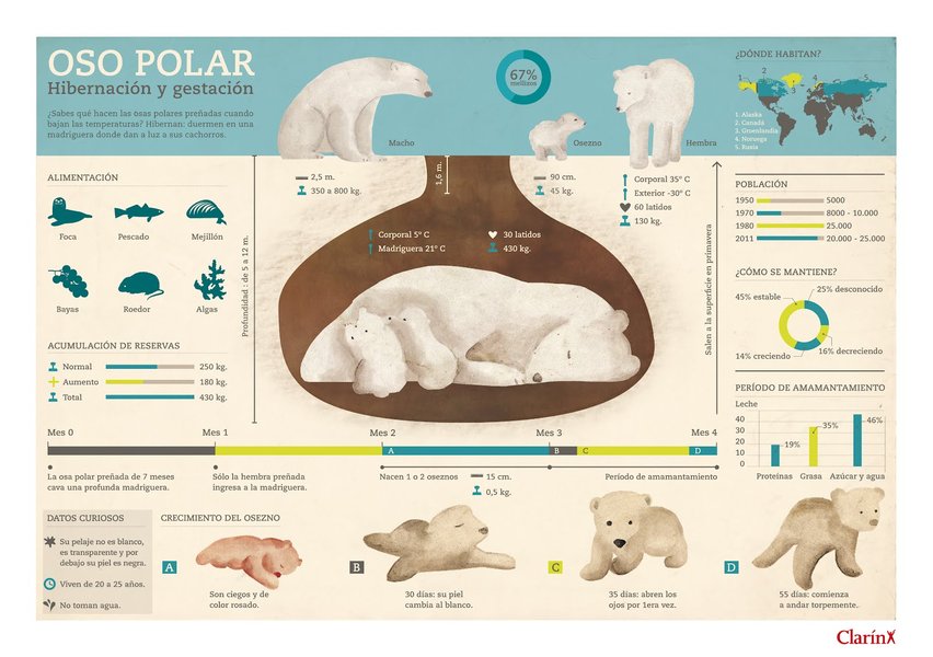 Infografía de datos