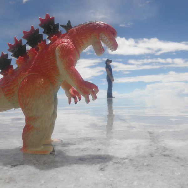 Hollow Face Illusion