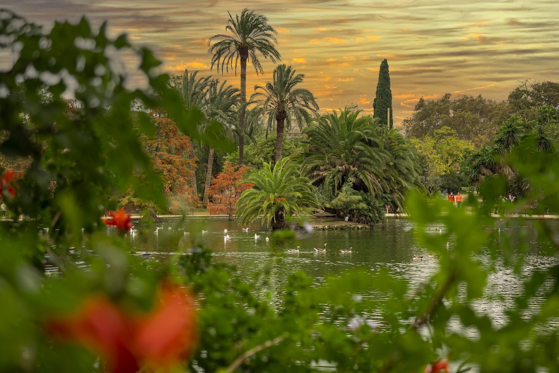 nature landscape with scientific instruments