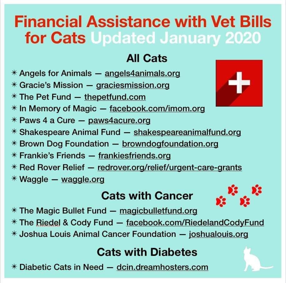 veterinary clinic financial assistance