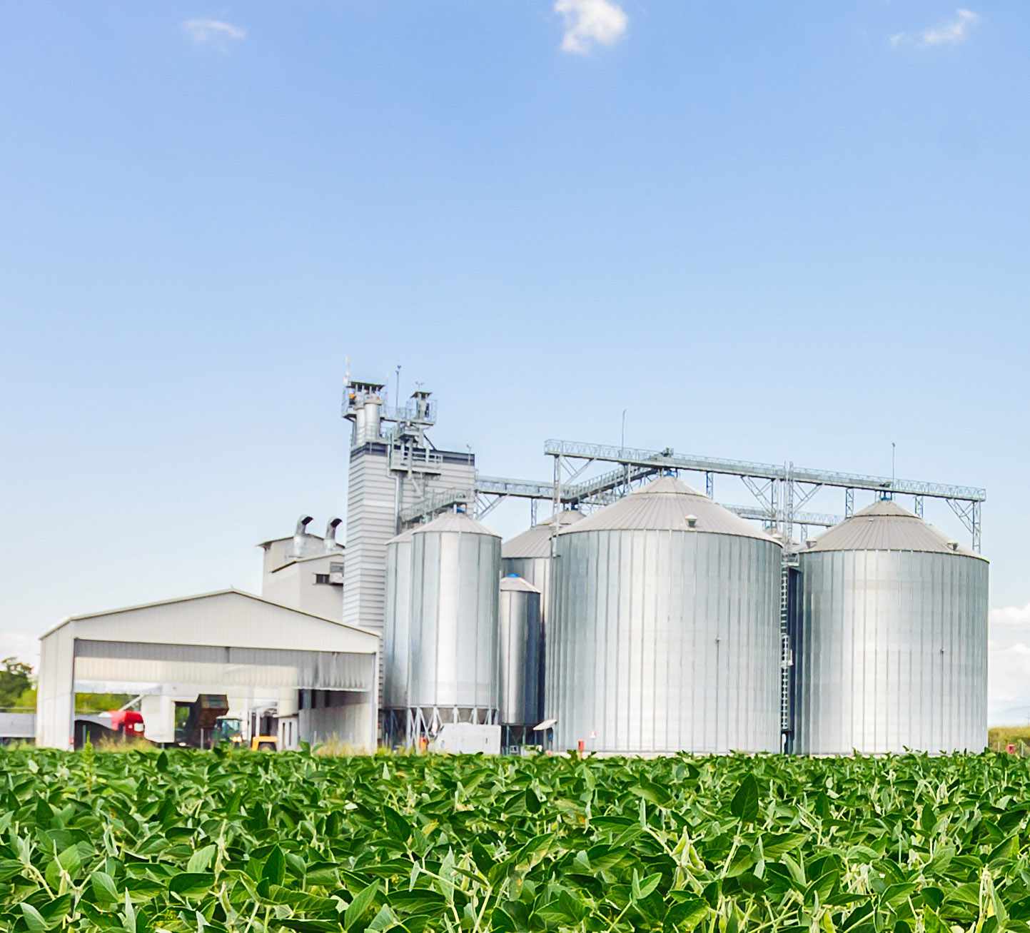 agricultural field crop storage
