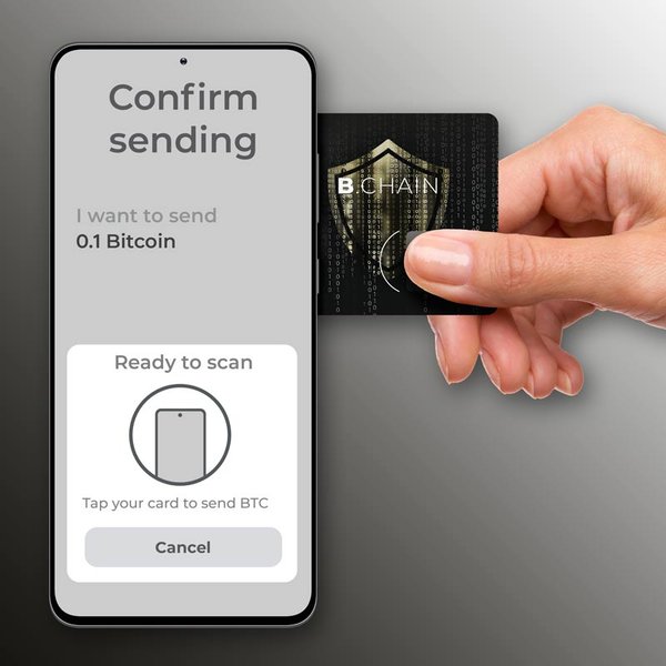 crypto-wallet-storage-recommendation-t250al5m