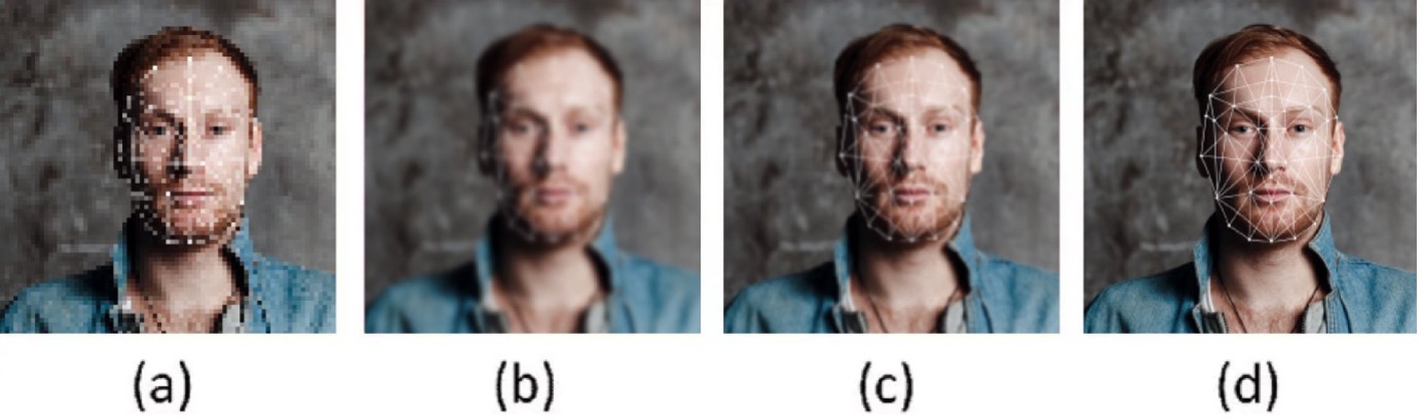 csharp-bilinear-interpolation-2d-array-y9jwylox