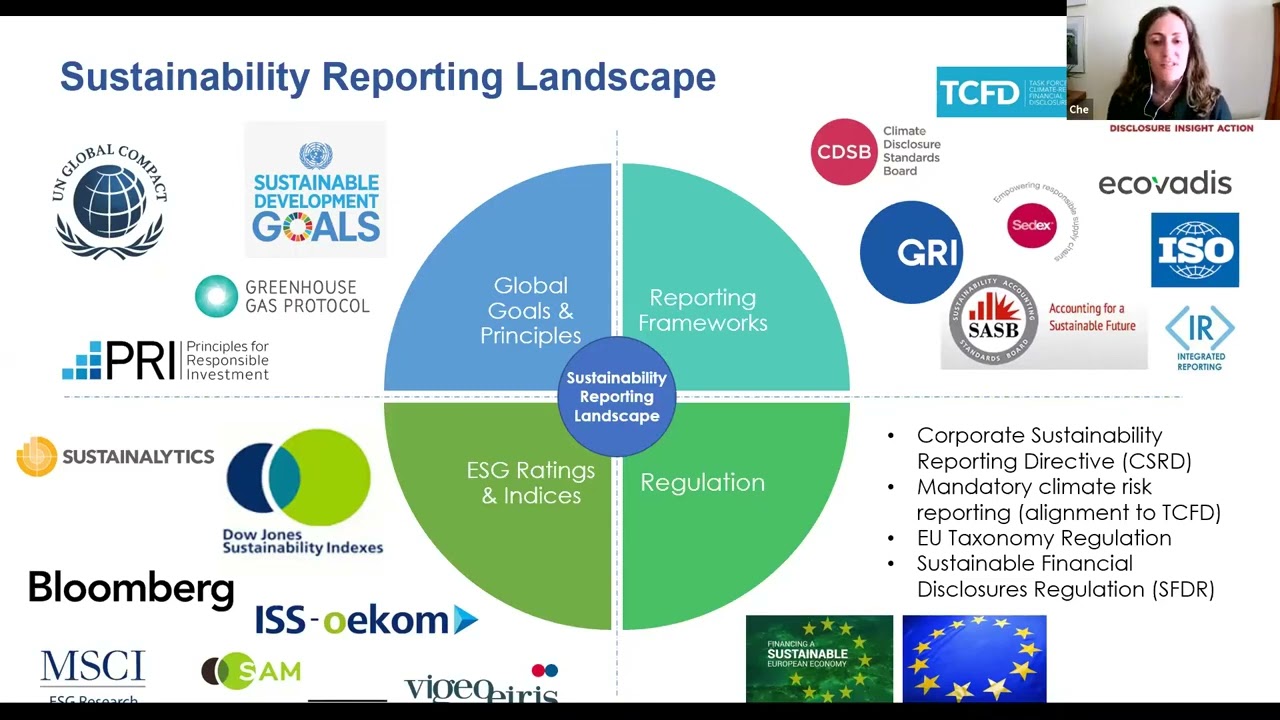 corporate sustainability reporting