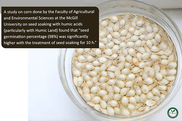 pumpkin seeds water treatment