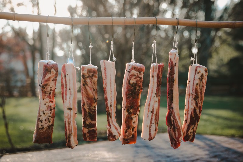 Ithy - Unlocking the Secrets of Meat Curing