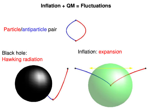 spherical surface fluctuations