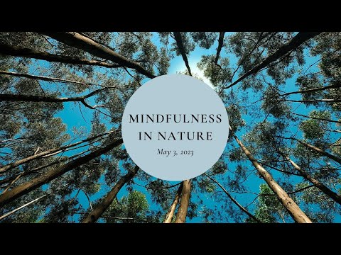 scenic nature mindfulness