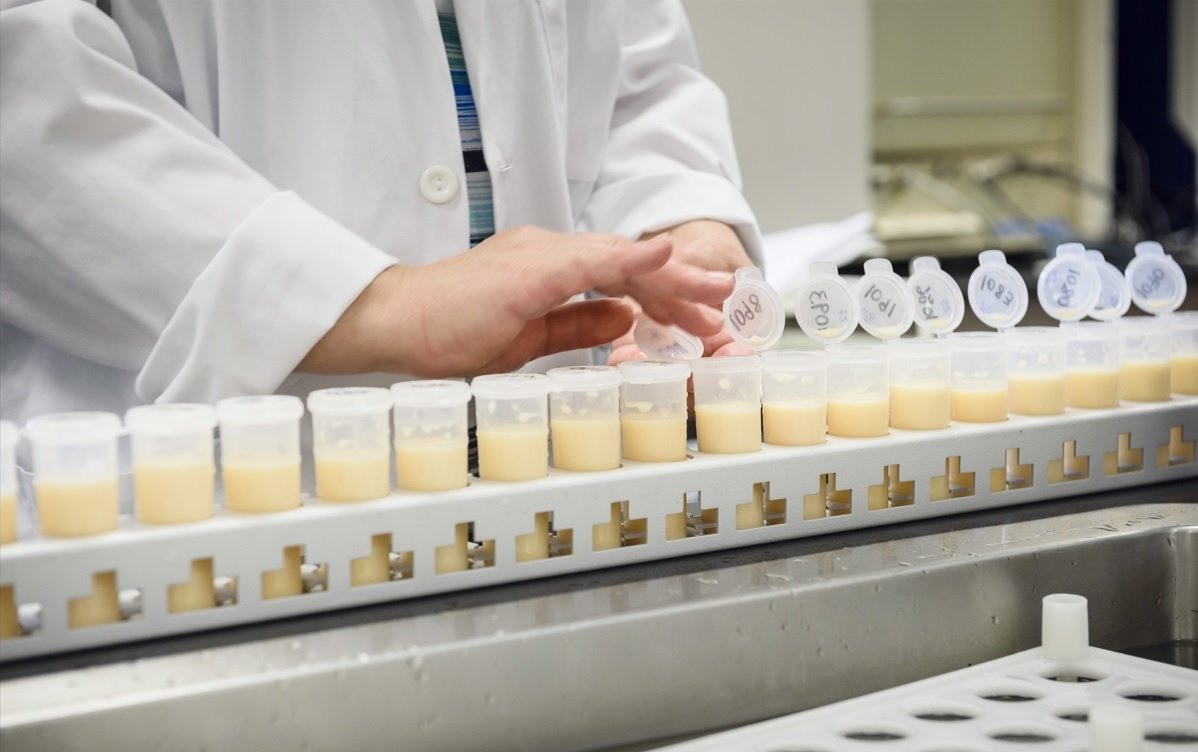 dairy products, milk, night, research laboratory