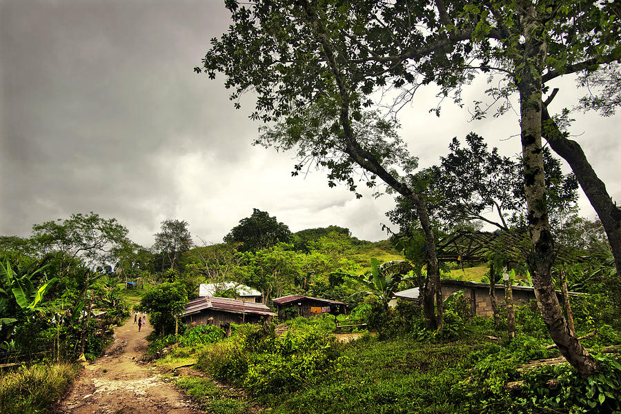 Cebu village landscape