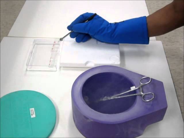 liquid nitrogen and crystals