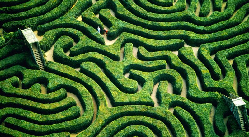 scenic photograph of a complex maze representing intricate pathways