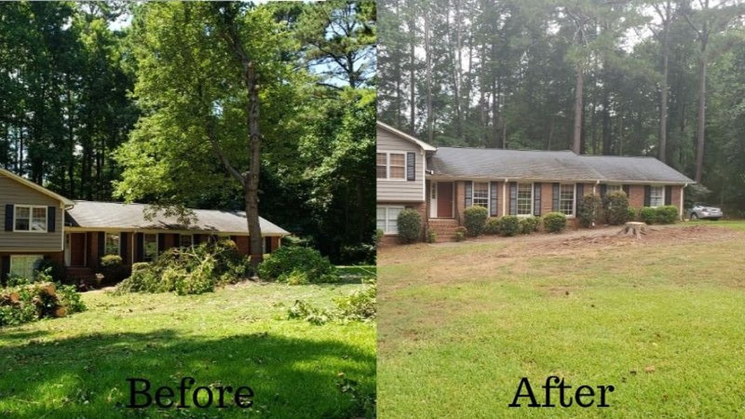 deciding-tree-removal-yard-xuscfhl9