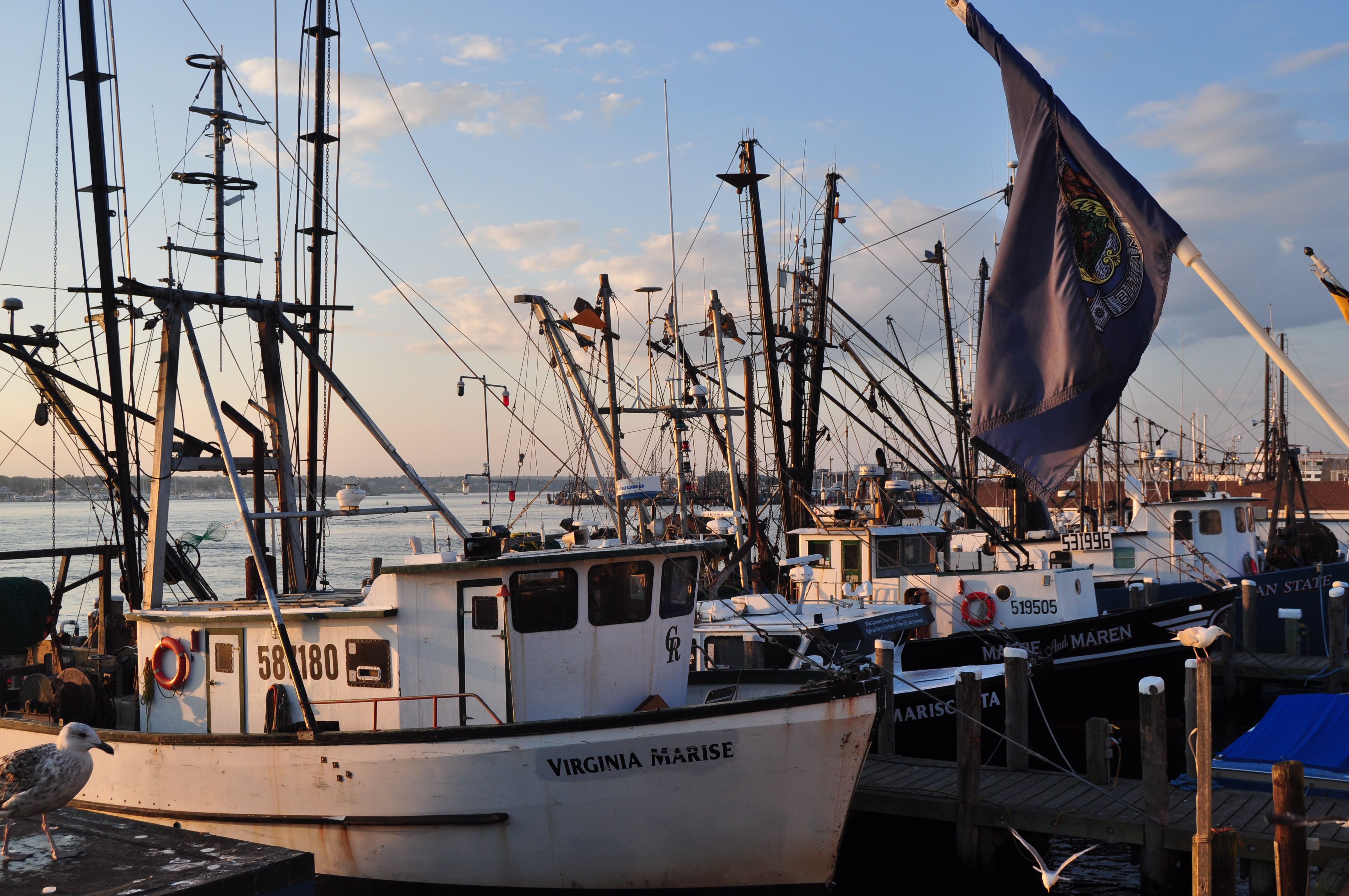 coastal port infrastructure, fishing boats docking, vibrant port activity
