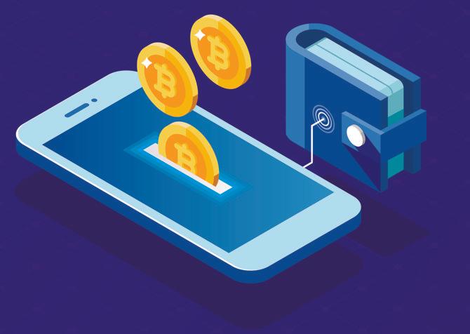 blockchain hardware wallets and digital security