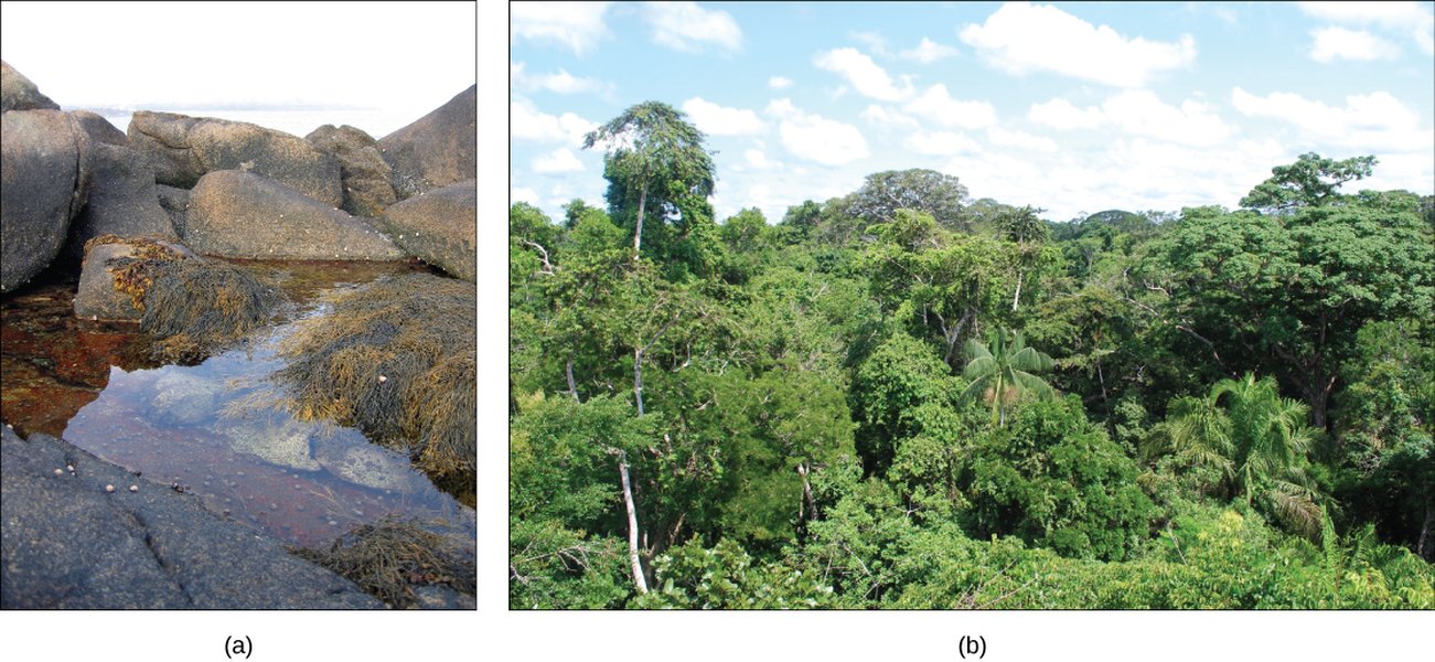 Diagram showing the levels of ecological organization.