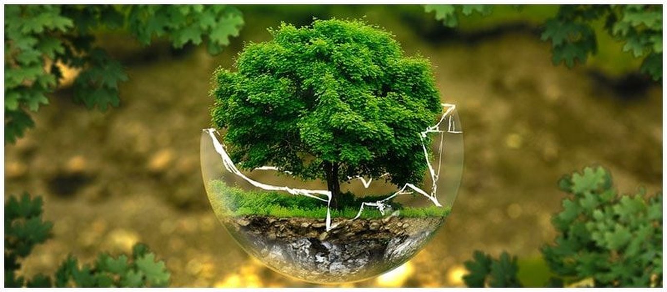 define-ecology-study-organisms-environment-ctsxhc2d