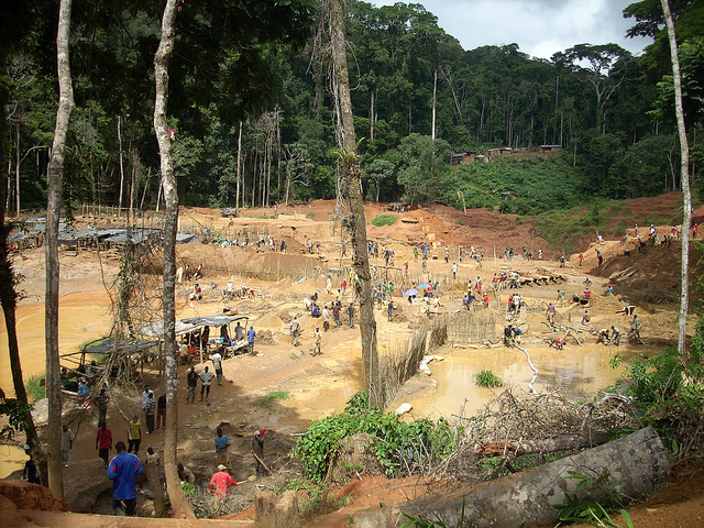 mining operations forest landscape