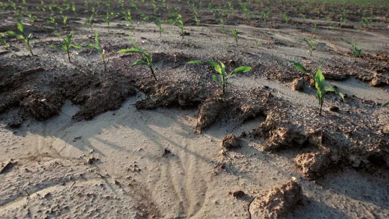agricultural field soil erosion
