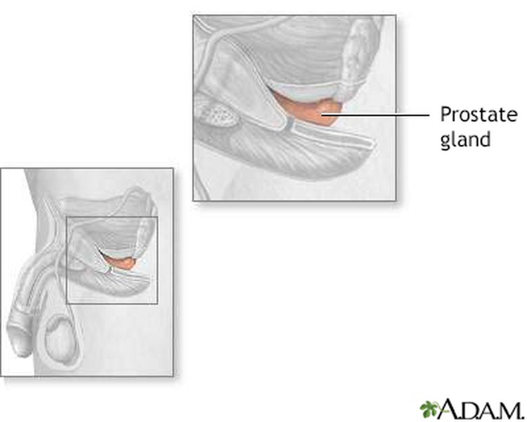 delayed-ejaculation-causes-treatment-e2v981c2