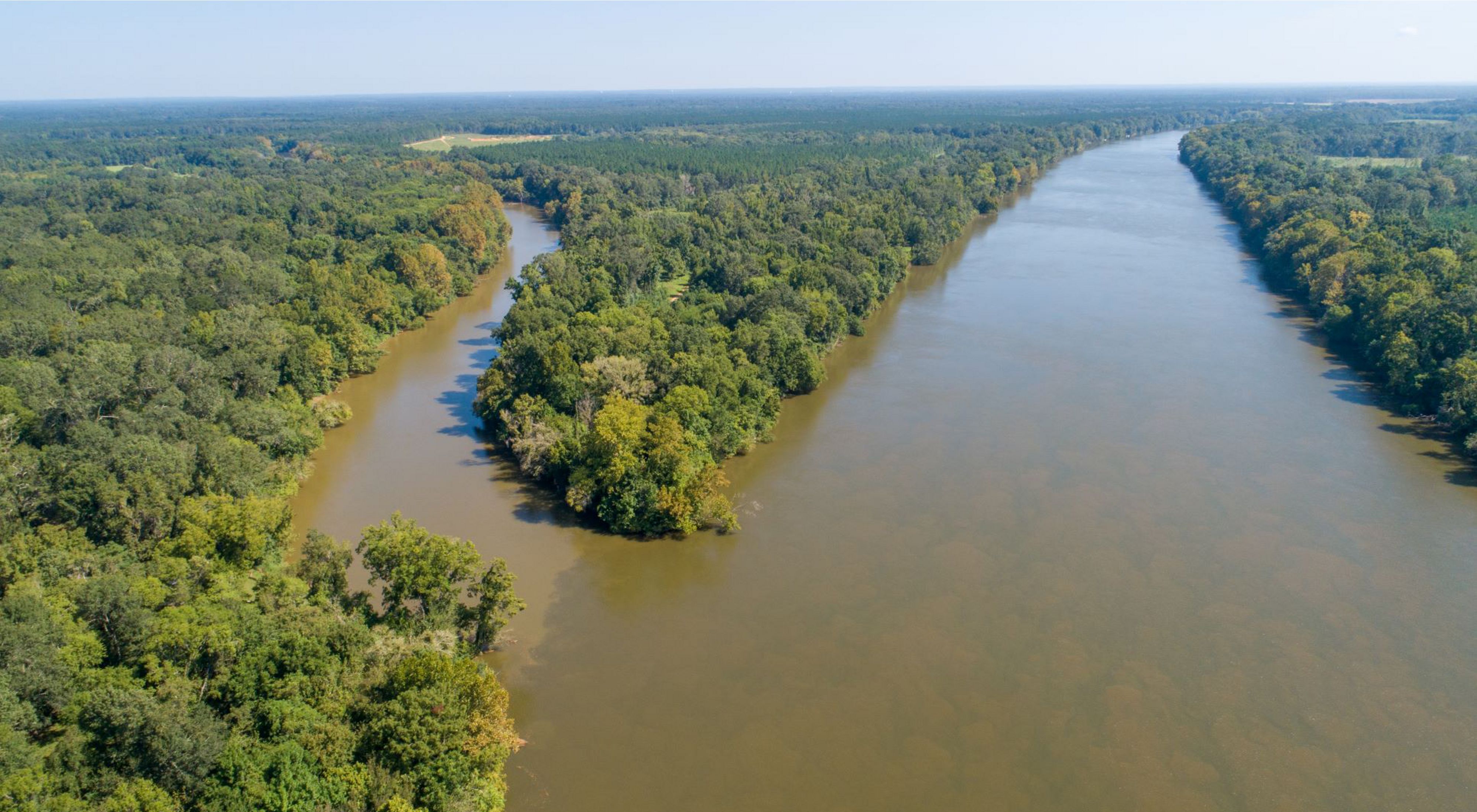 delta landscape with river banks