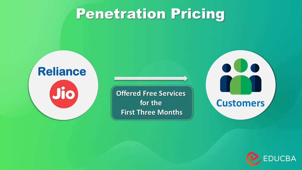 pricing strategies indian firms