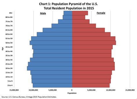 population growth demographics