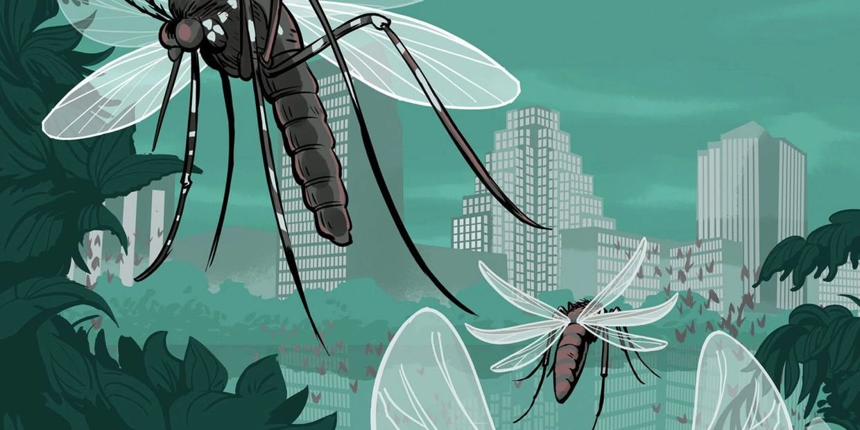 mosquito control cityscape