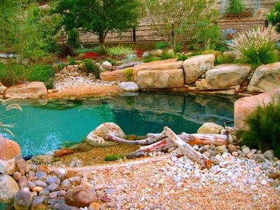 natural pool landscape