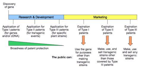 The Patent Landscape of Genetically Modified Organisms - Science in the ...