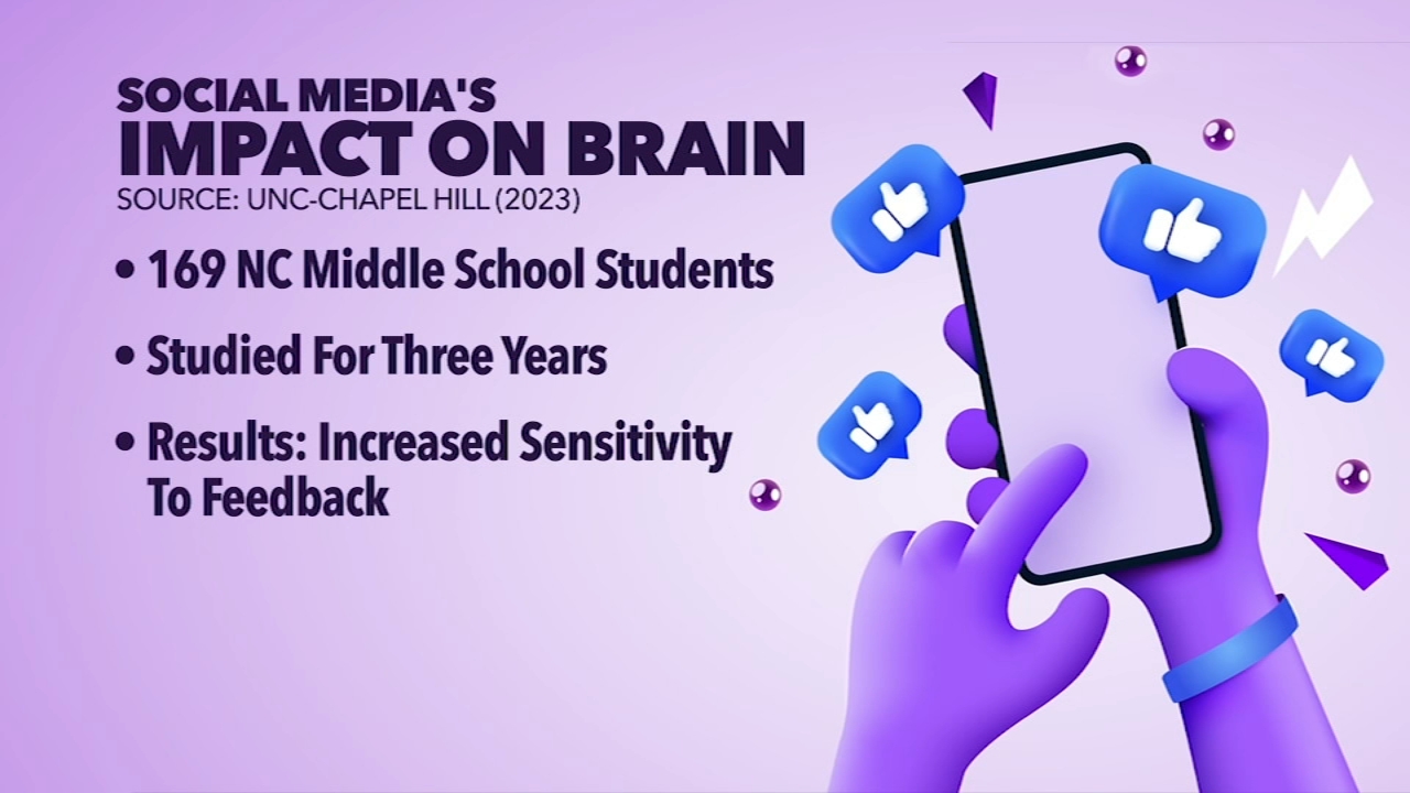 school media development