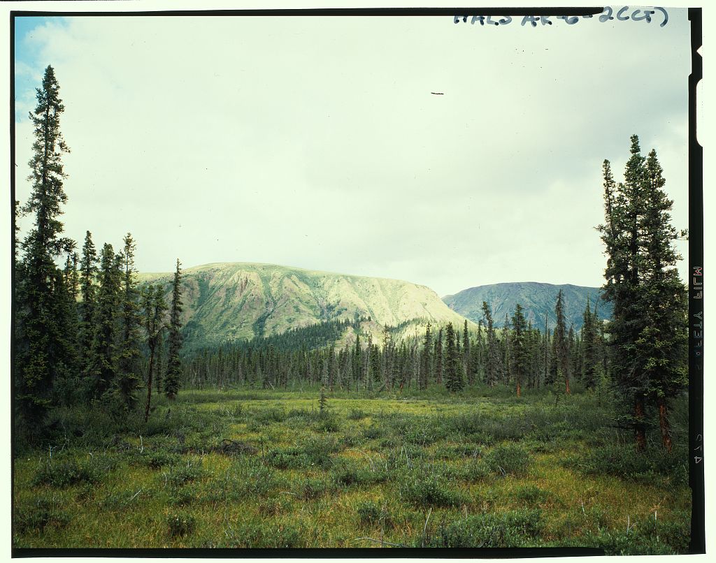 scenic digital archive artifacts