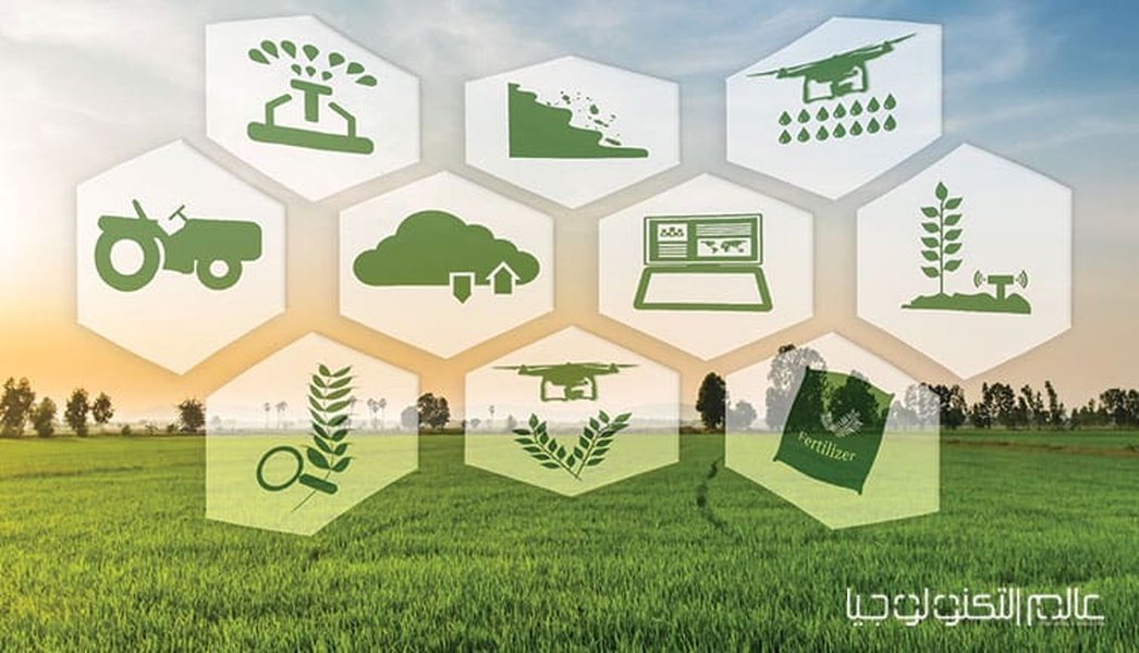 digital-transformation-food-security-9n3ihdun