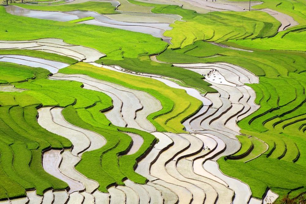 mountainous landscape, river flooding, terraced fields