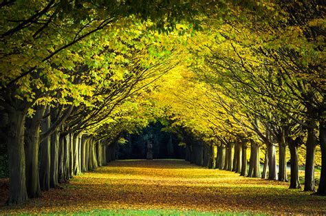 inspiring scenery pathway