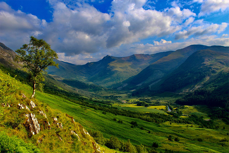 scenic view of natural landscape