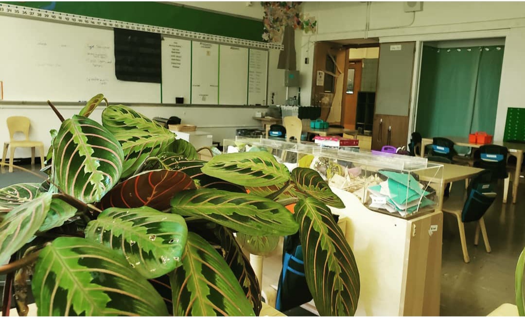 physical scenery classroom objects