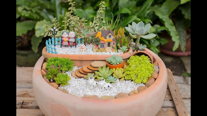 miniature dish garden