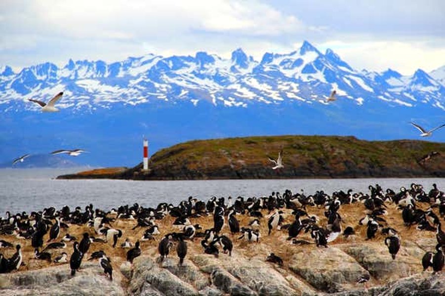 Imbarcazione turistica nel Canale di Beagle