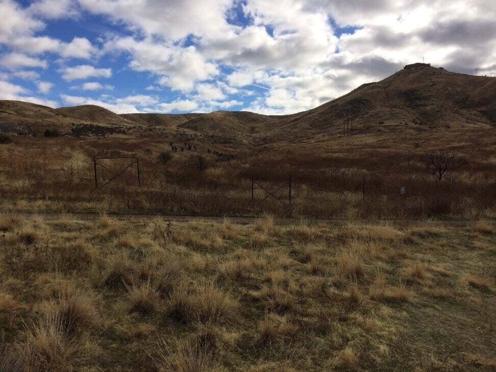 landscape undergoing restoration