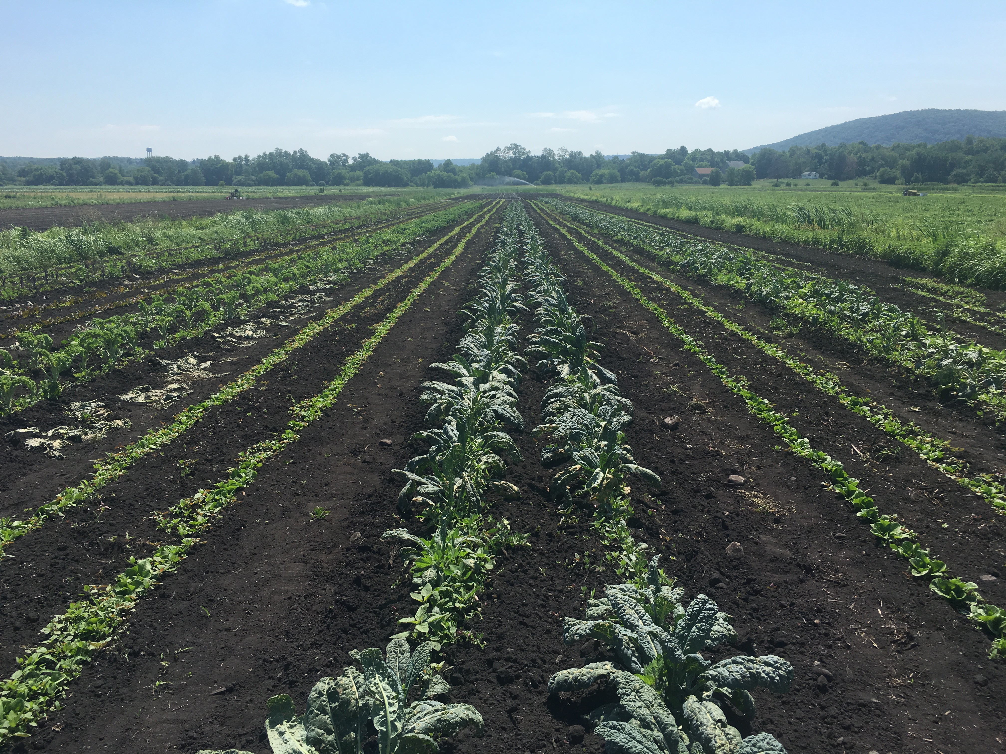 sustainable agriculture soil field