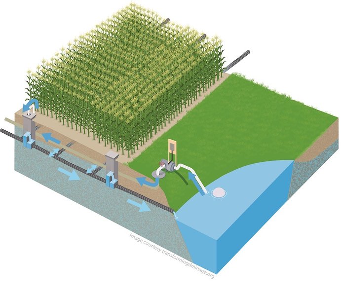 Diagram showing subsurface water movement and irrigation