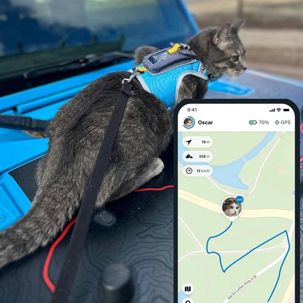 diy-lorawan-gps-cat-tracker-g5kv298o