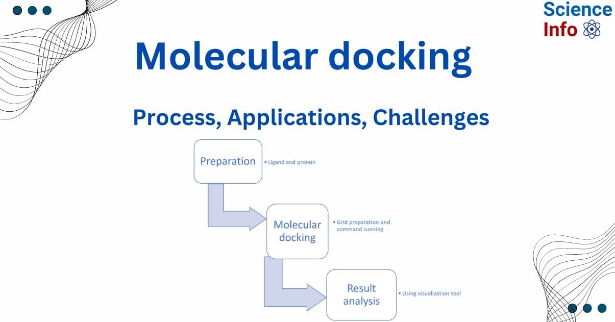 molecular docking process visualization
